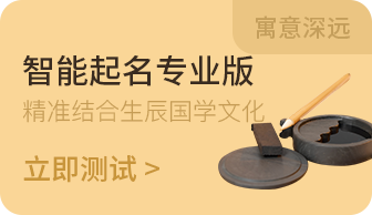 八字起名智能专业版