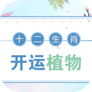 十二生肖开运植物