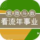 紫微斗数看流年事业