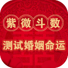 紫微斗数测试婚姻命运