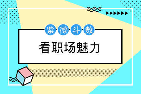 紫微测职场魅力