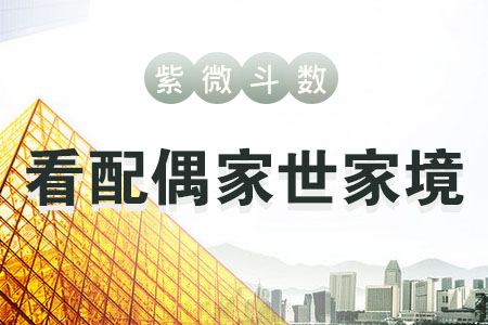 紫微测试配偶家境