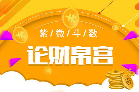 紫微斗数测财运